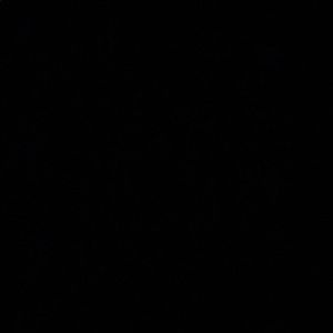 Meet your Posher, Diamond